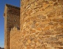 Castillo de Villanueva de Jamuz