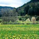 Riaño en primavera