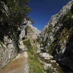 Picos de Europa