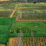 Valle del Orbigo