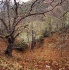 Paisaje del Bierzo